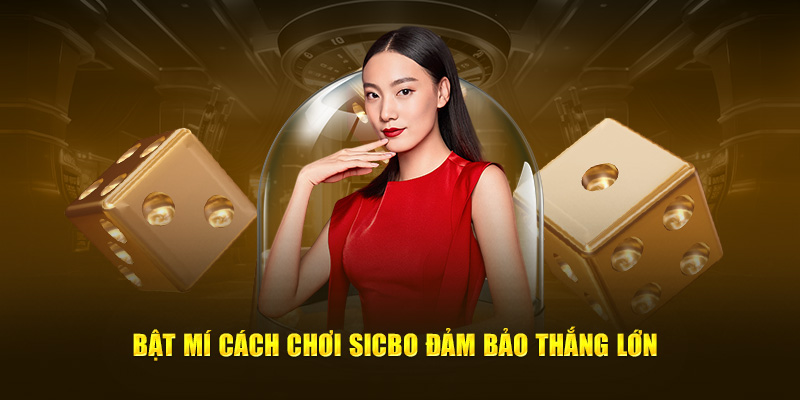 Bật mí cách chơi Sicbo đảm bảo thắng lớn