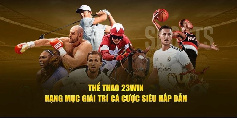 Tổng hợp thông tin giới thiệu nhanh về Thể thao 23win